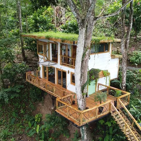 Jungle Spirit Treehouse Villa Cahuita Exterior photo