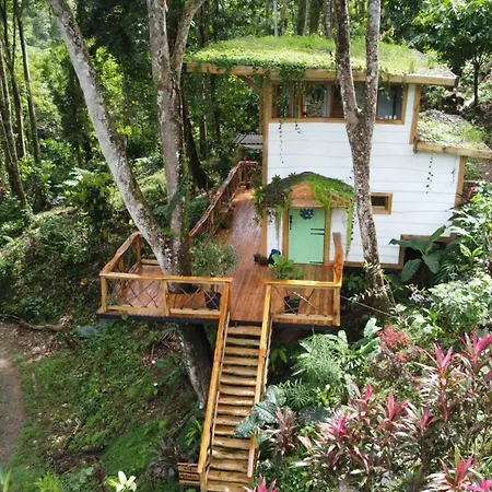 Jungle Spirit Treehouse Villa Cahuita Exterior photo