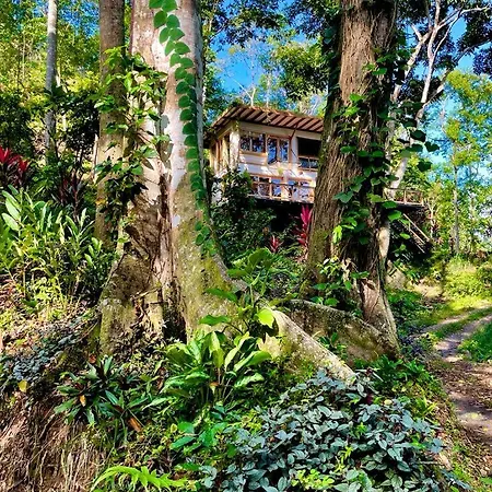 Jungle Spirit Treehouse Villa Cahuita Exterior photo