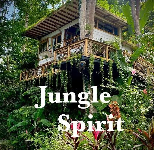 Jungle Spirit Treehouse