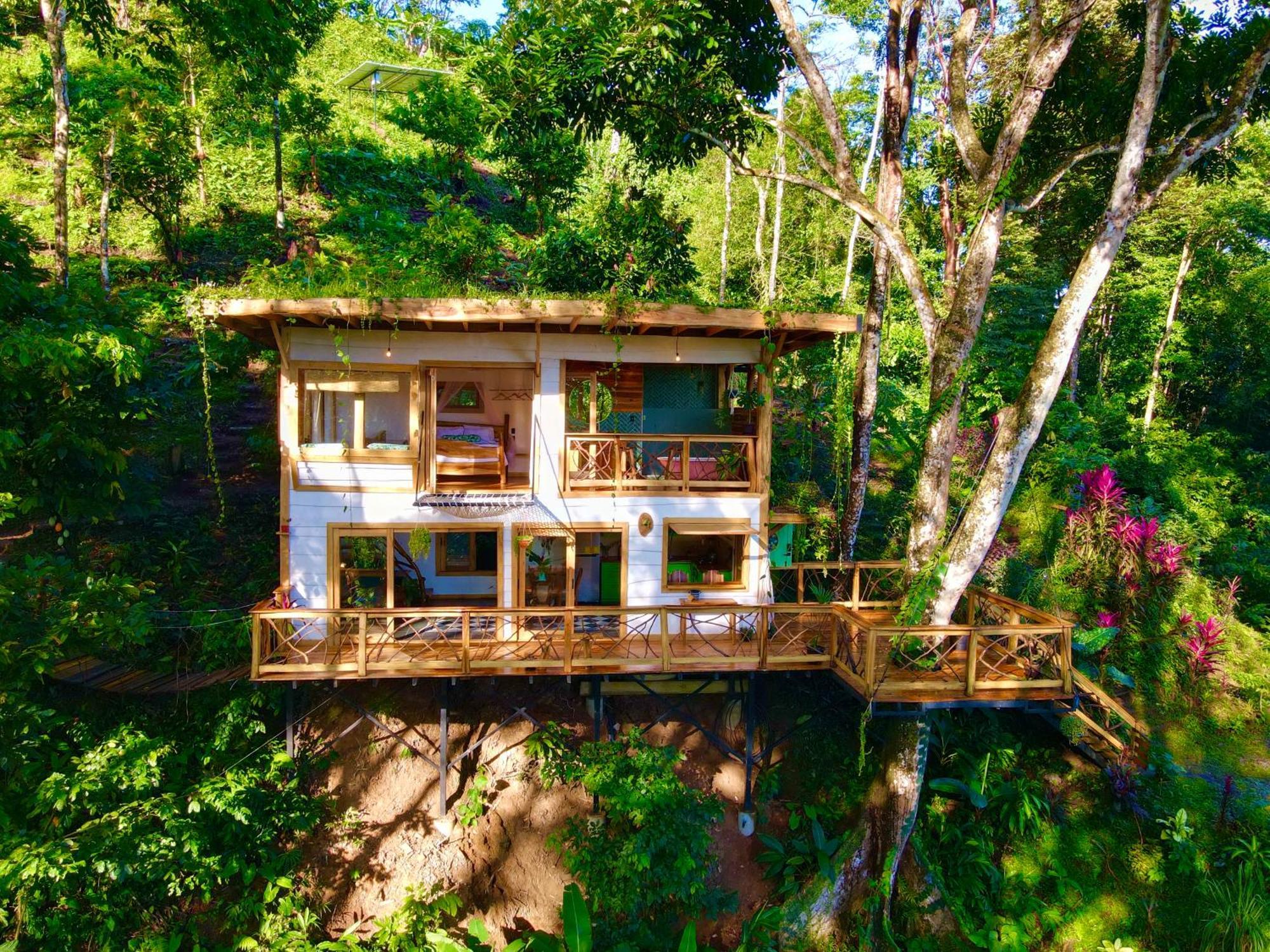 Jungle Spirit Treehouse Holiday home Cahuita