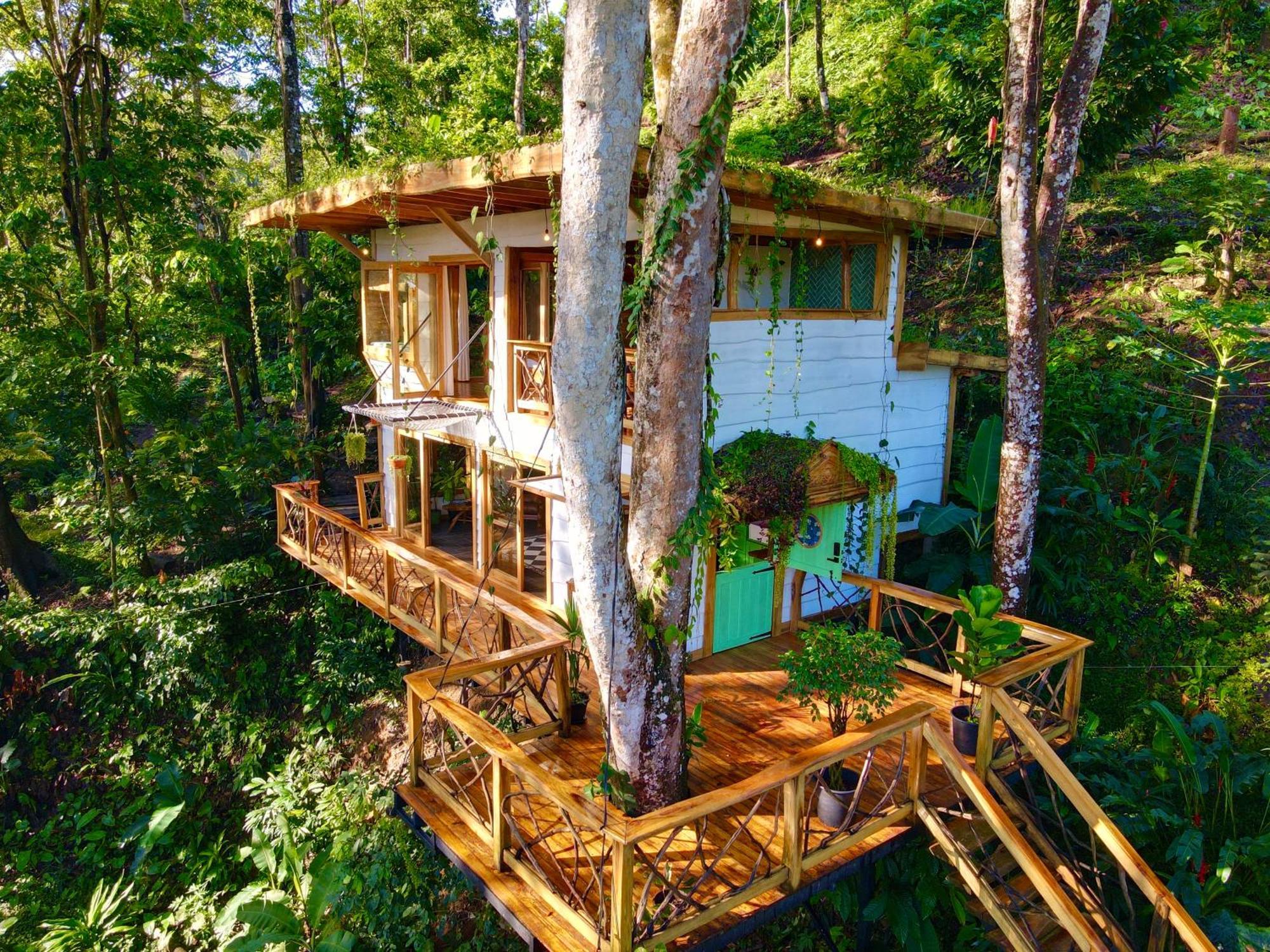 Jungle Spirit Treehouse Cahuita