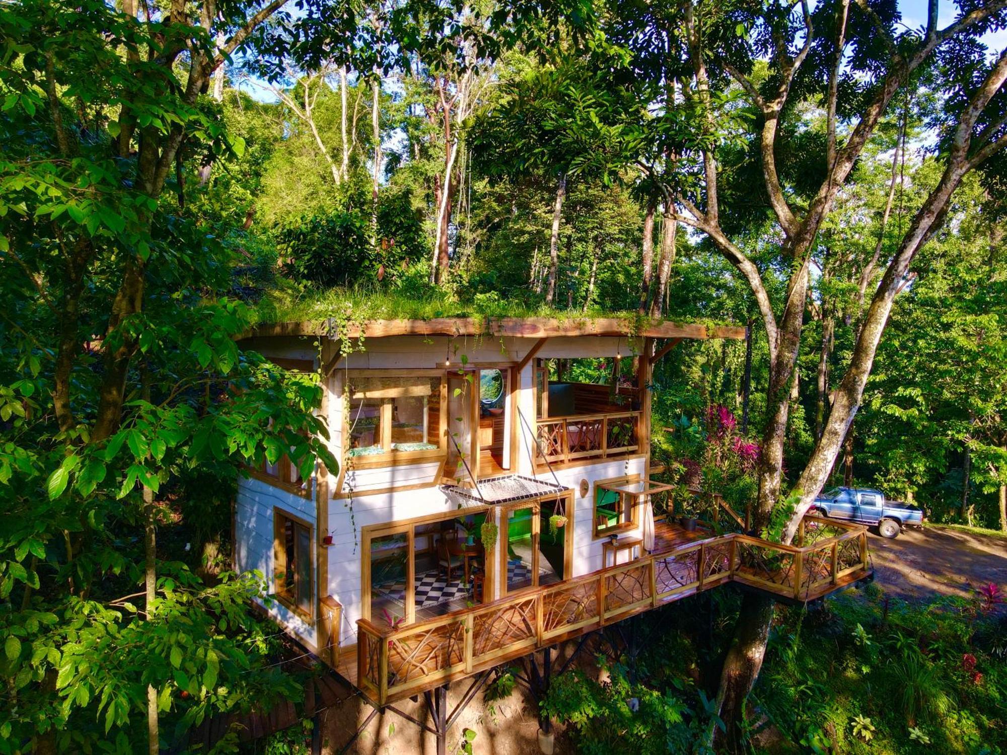 Jungle Spirit Treehouse