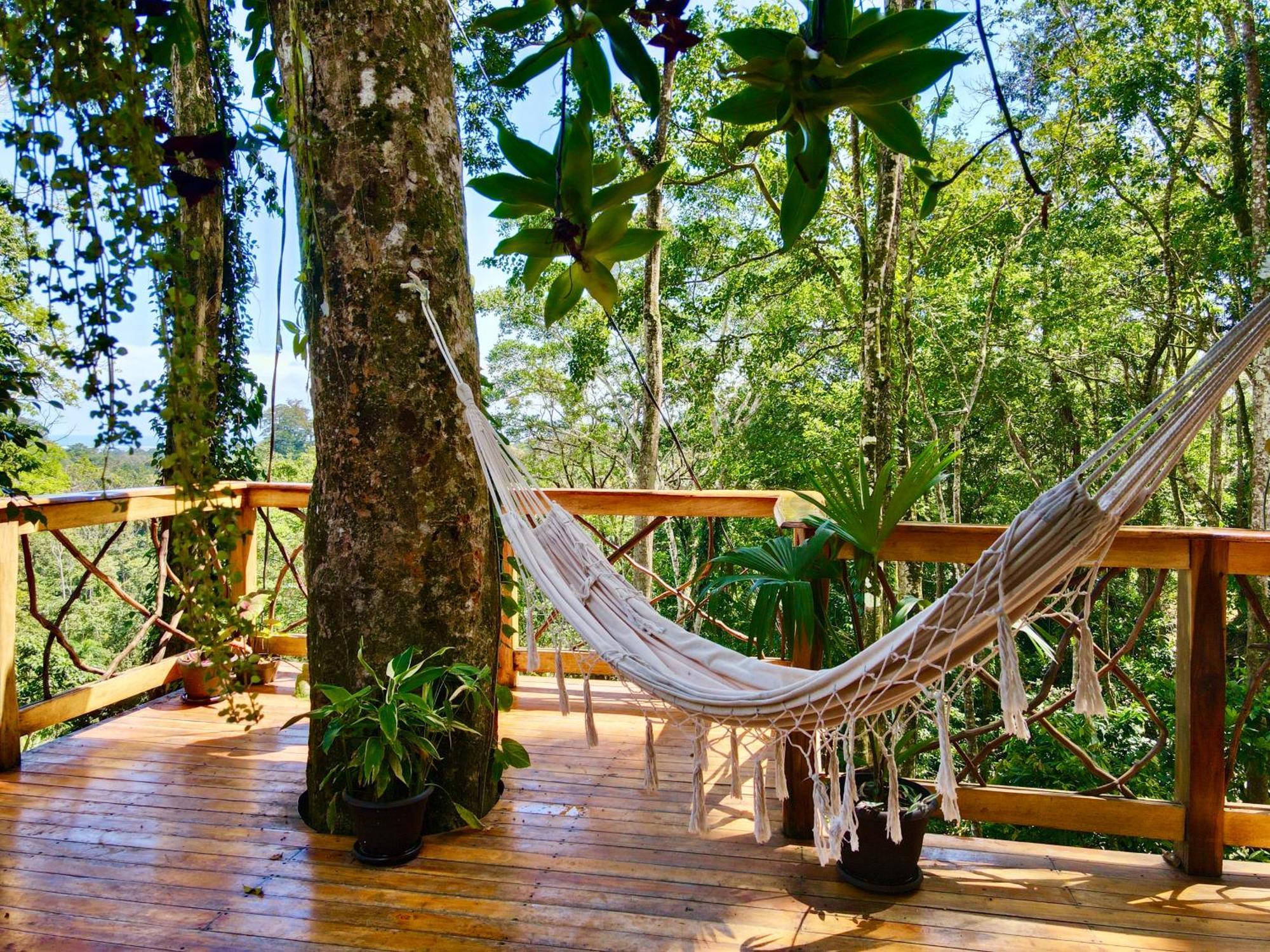 Jungle Spirit Treehouse Holiday home *