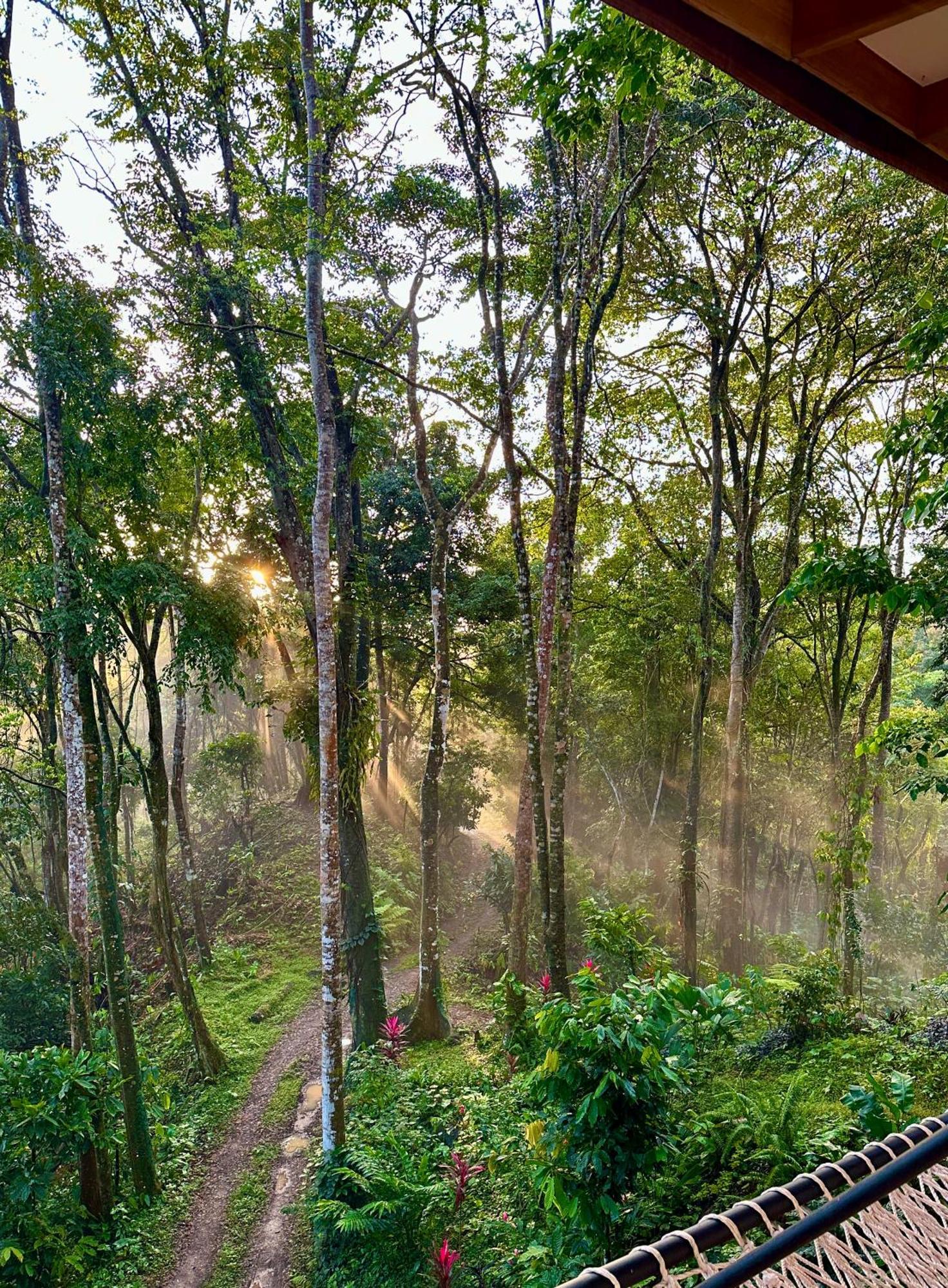 Holiday home Jungle Spirit Treehouse Cahuita