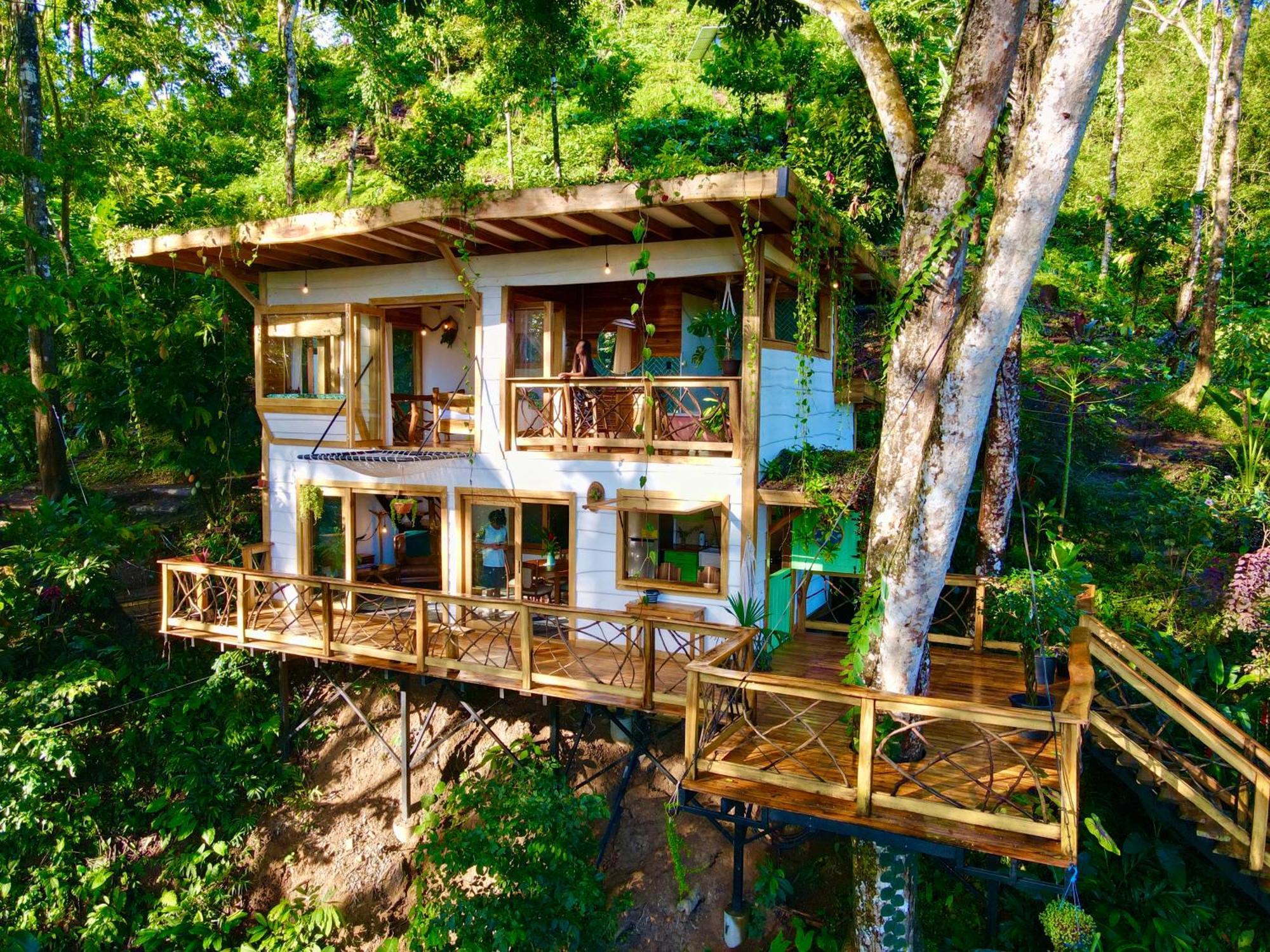 Jungle Spirit Treehouse Cahuita
