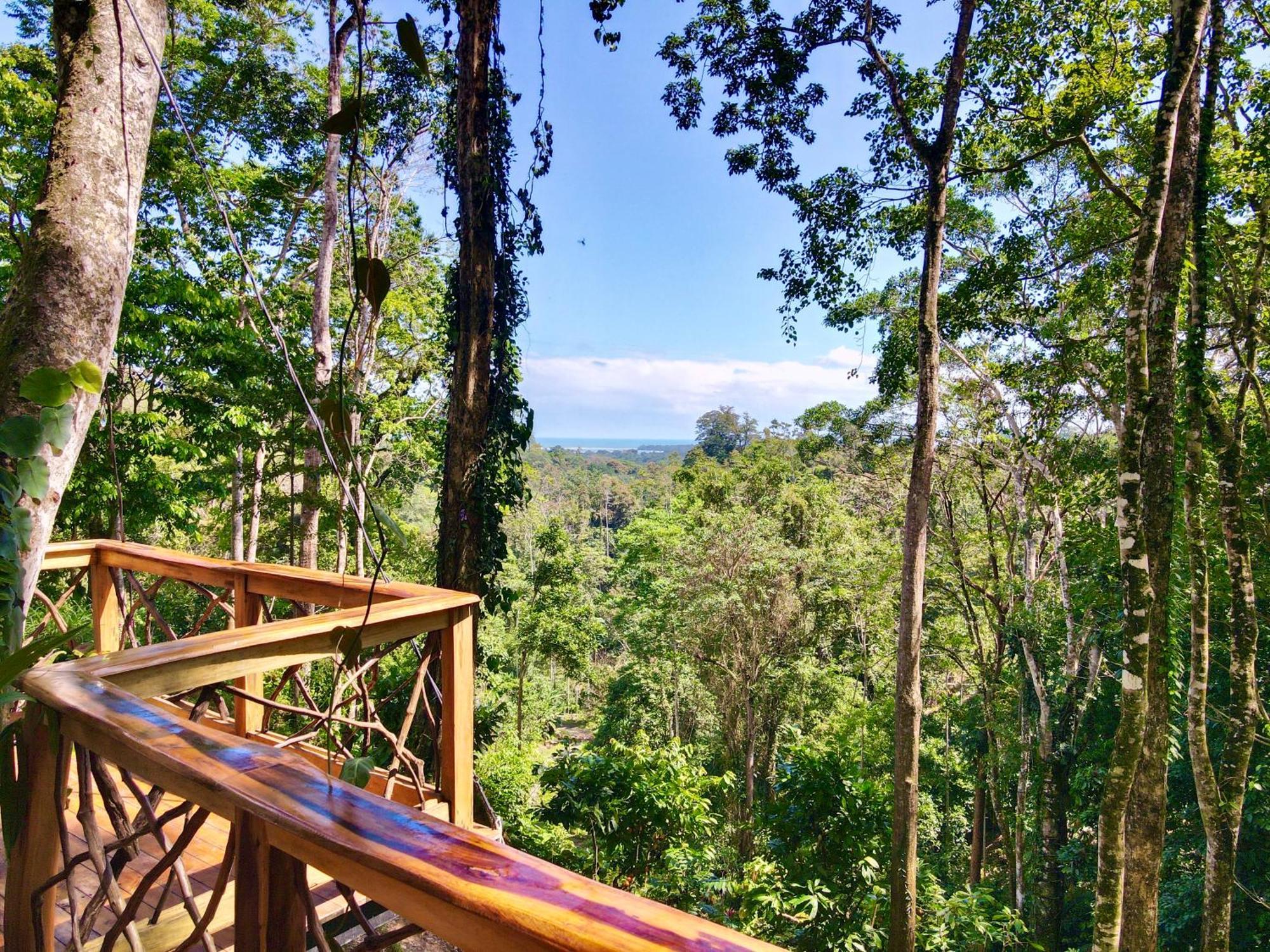 Jungle Spirit Treehouse Cahuita