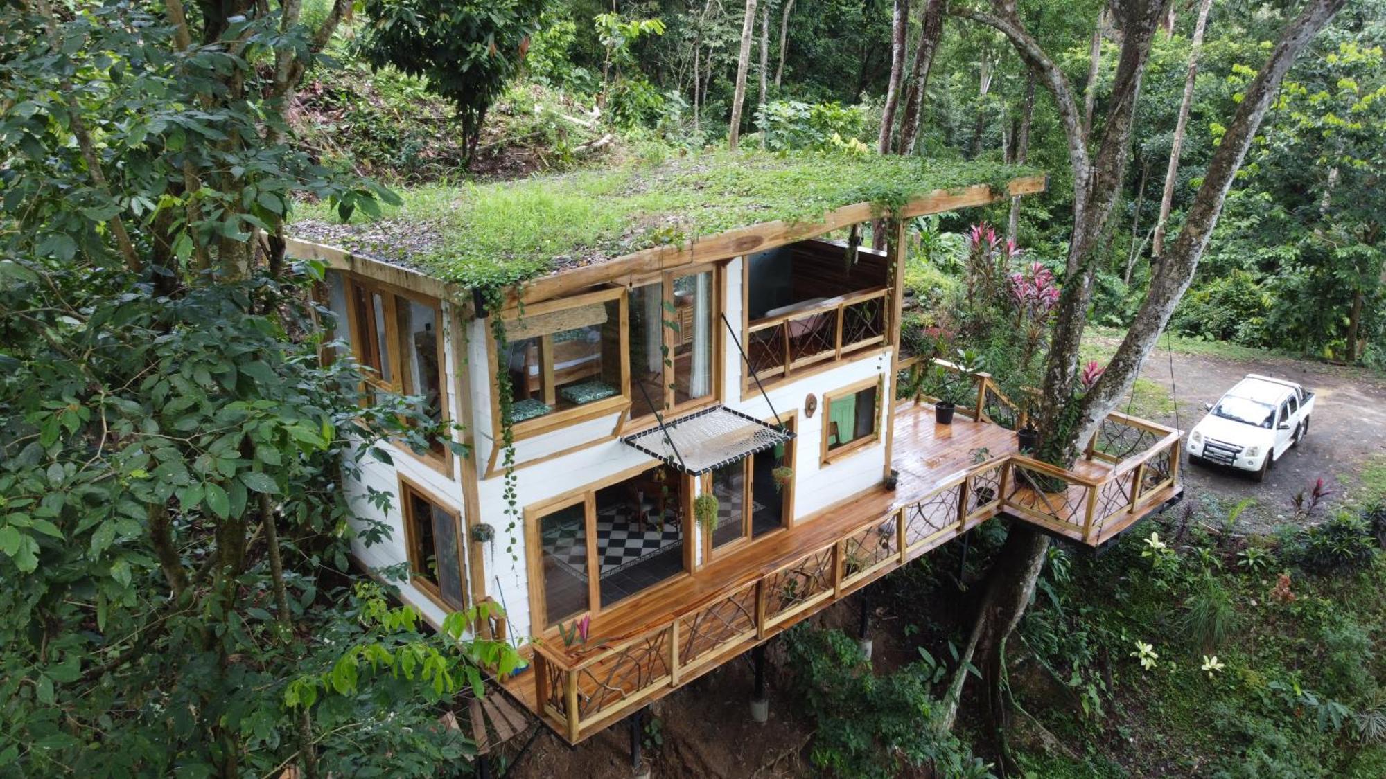 Jungle Spirit Treehouse Cahuita