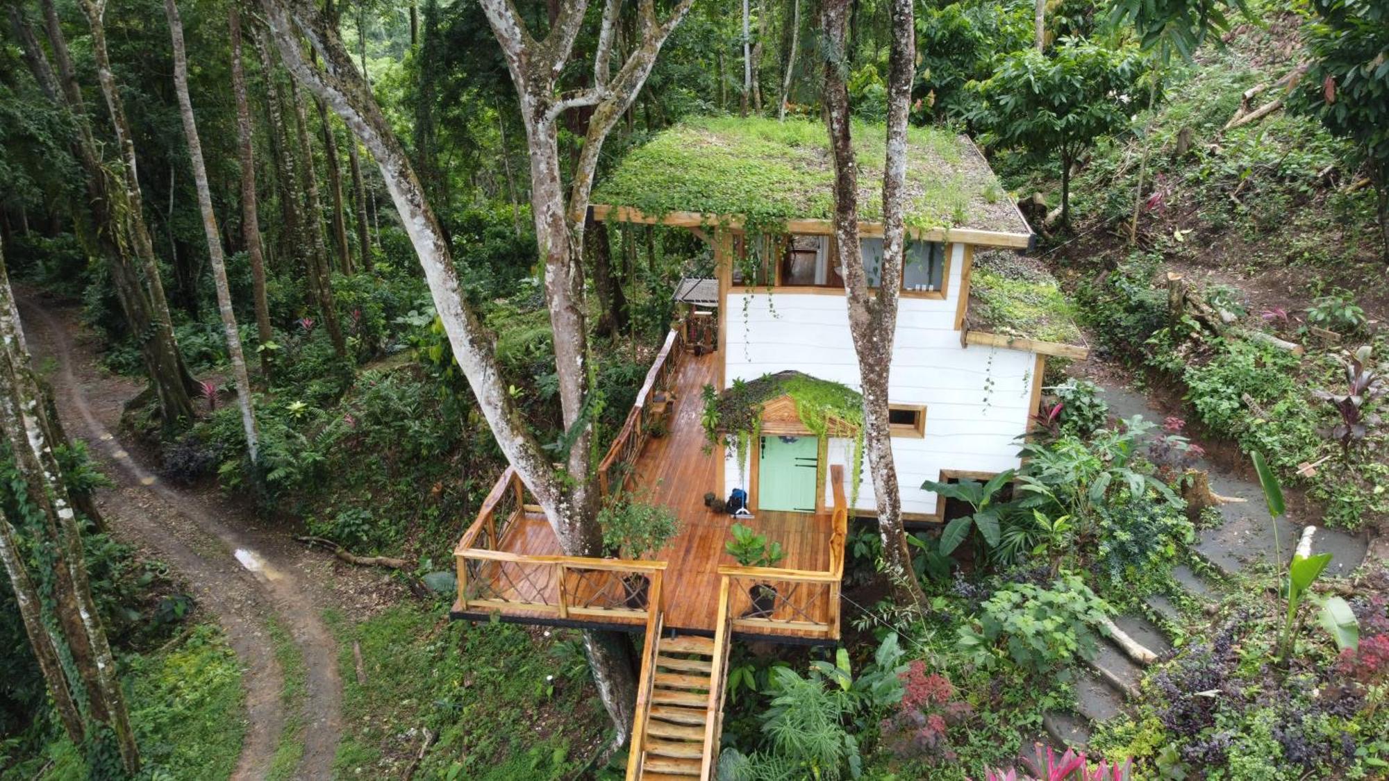 Jungle Spirit Treehouse Cahuita