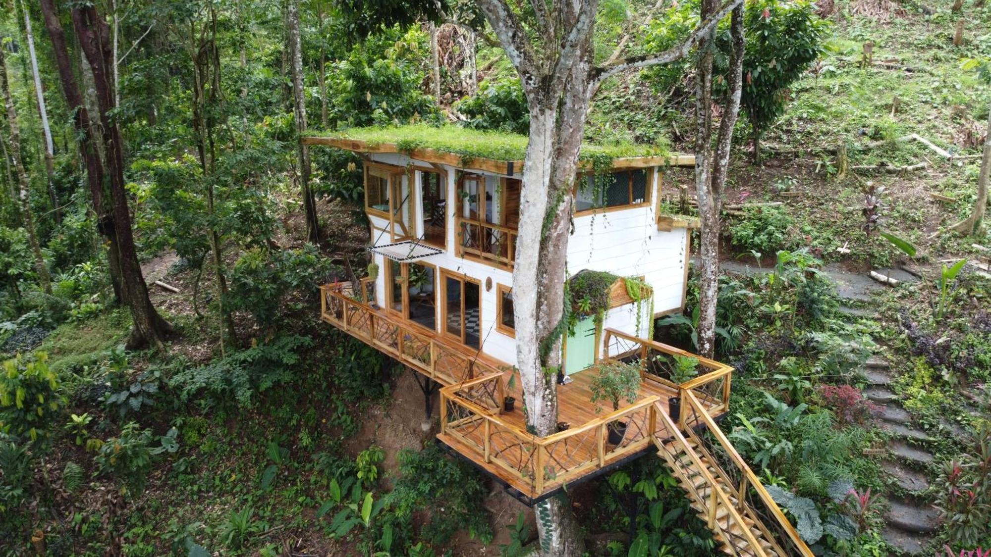 Holiday home Jungle Spirit Treehouse Cahuita