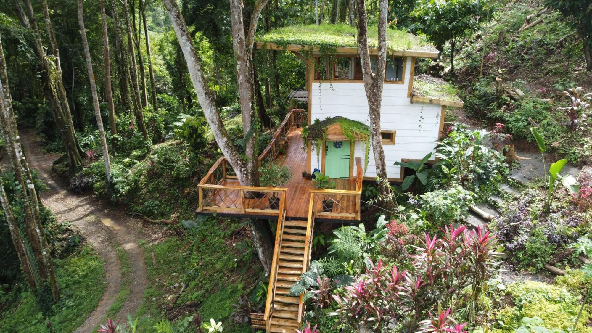Jungle Spirit Treehouse