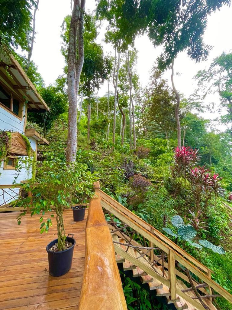 Holiday home Jungle Spirit Treehouse