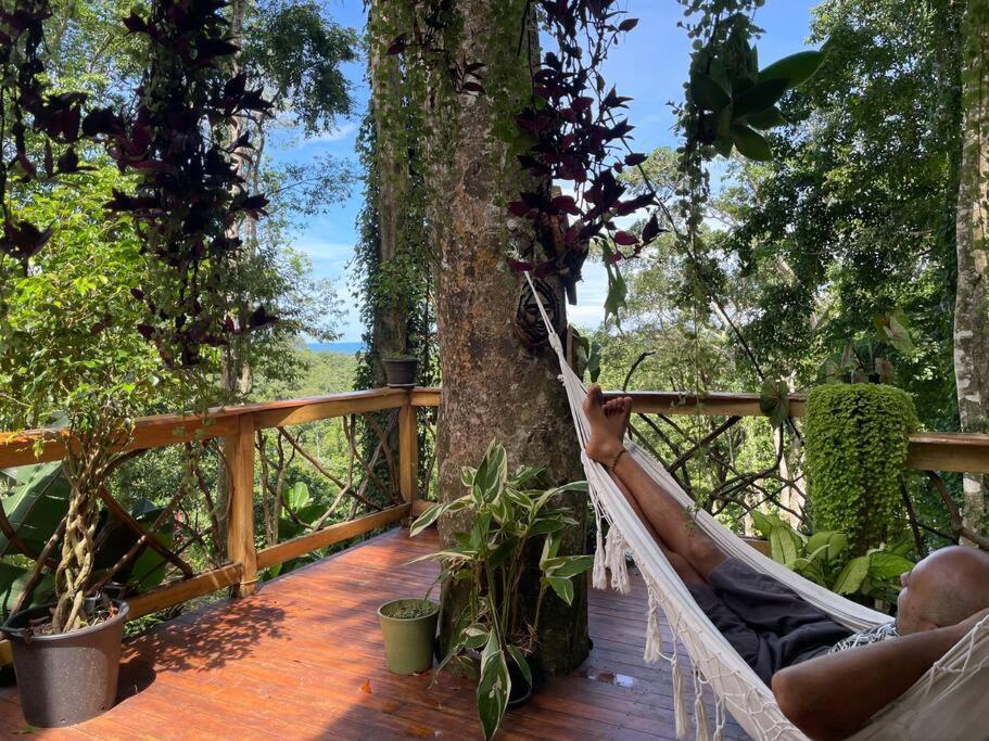 Jungle Spirit Treehouse *