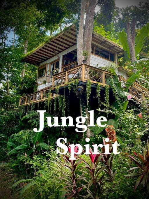 Jungle Spirit Treehouse Holiday home