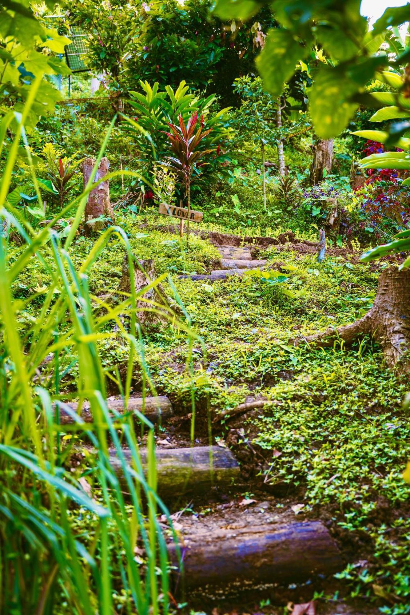 Jungle Spirit Treehouse *