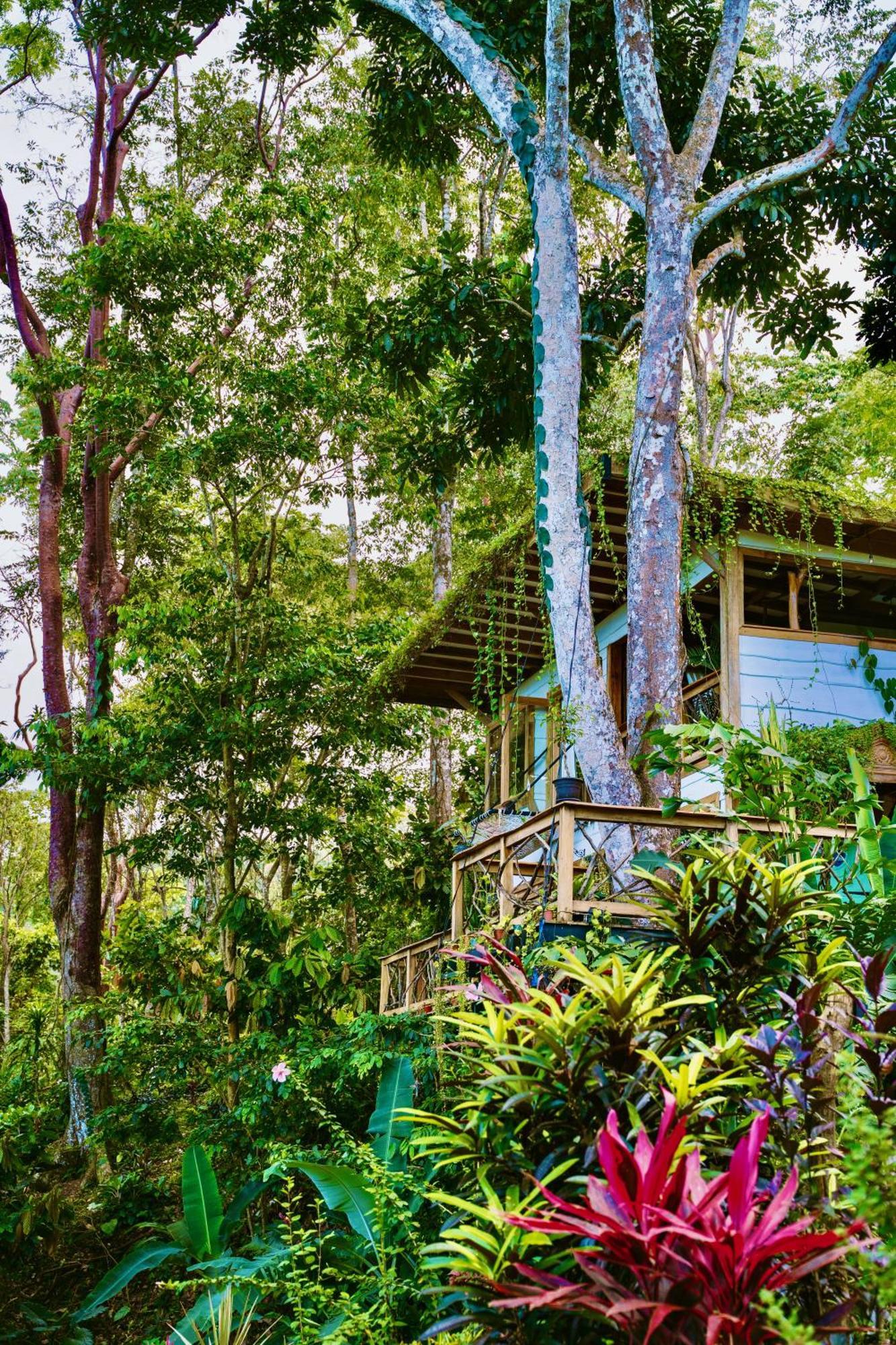 Jungle Spirit Treehouse * Cahuita
