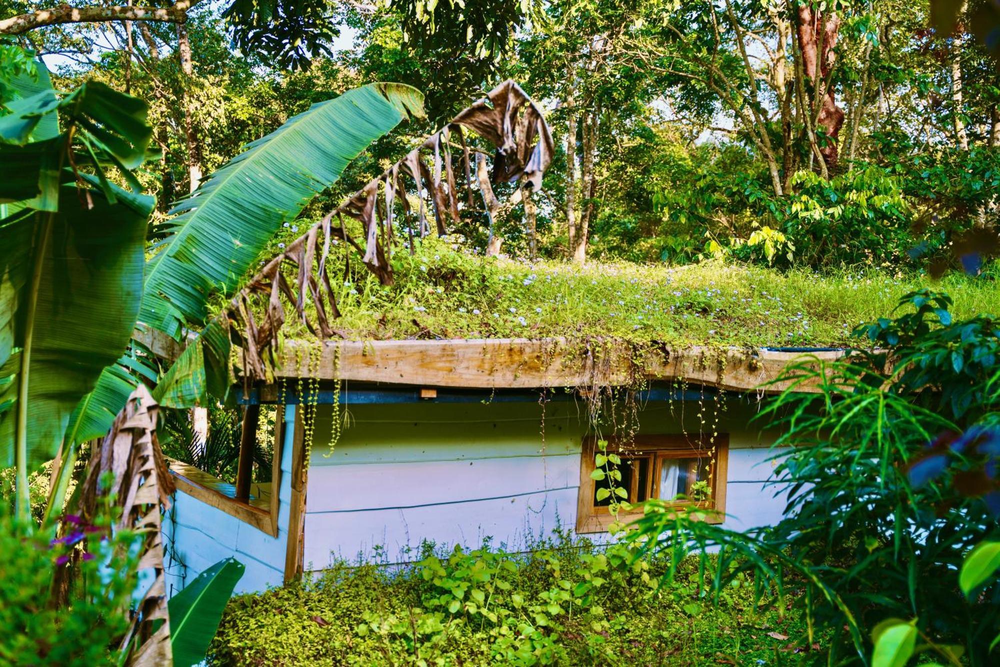 Holiday home Jungle Spirit Treehouse Cahuita