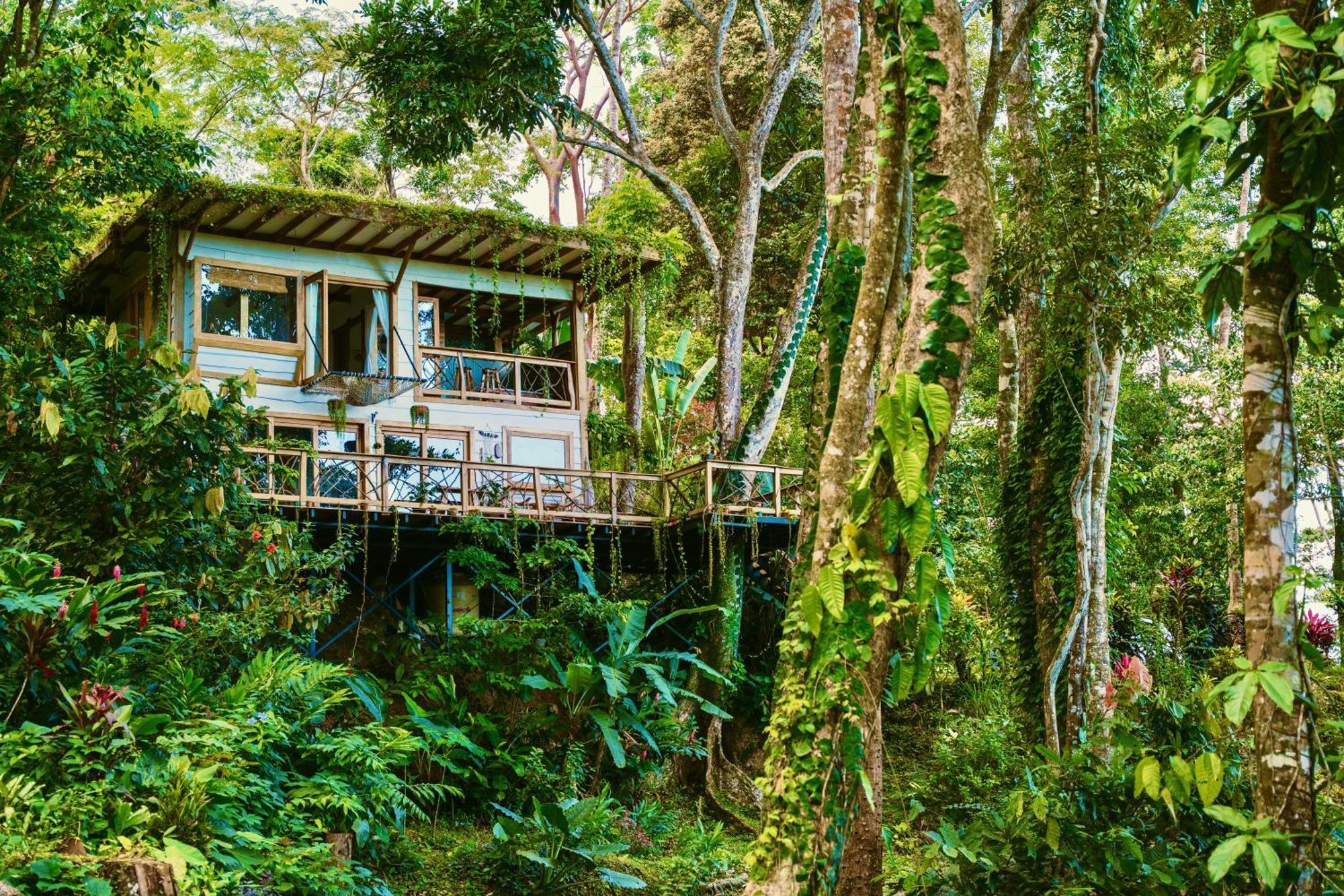 Holiday home Jungle Spirit Treehouse *