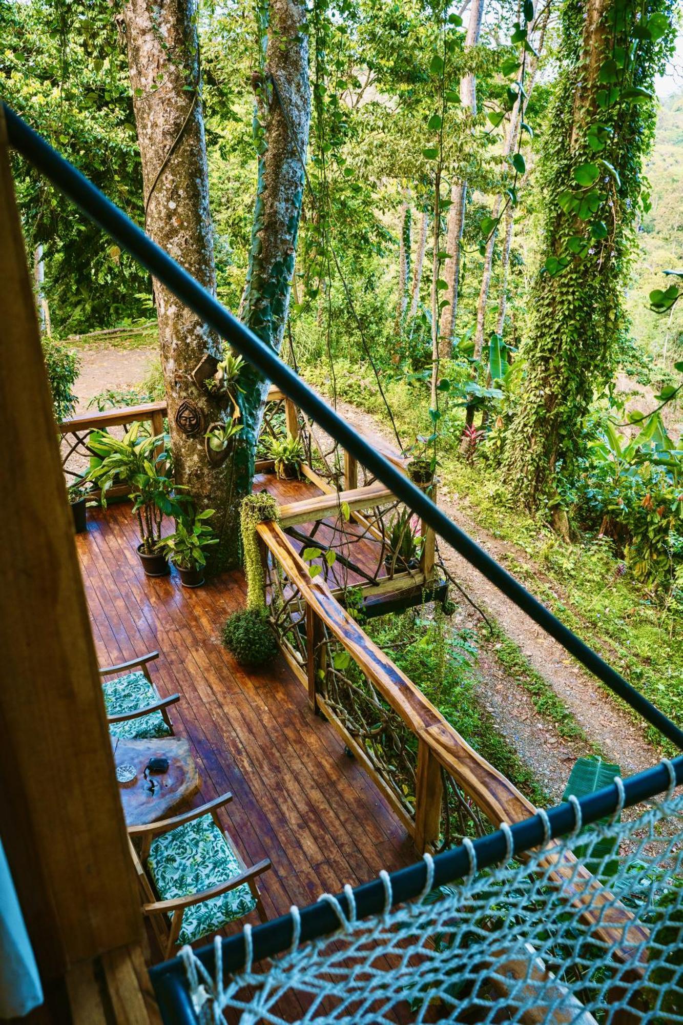 Jungle Spirit Treehouse Holiday home Cahuita