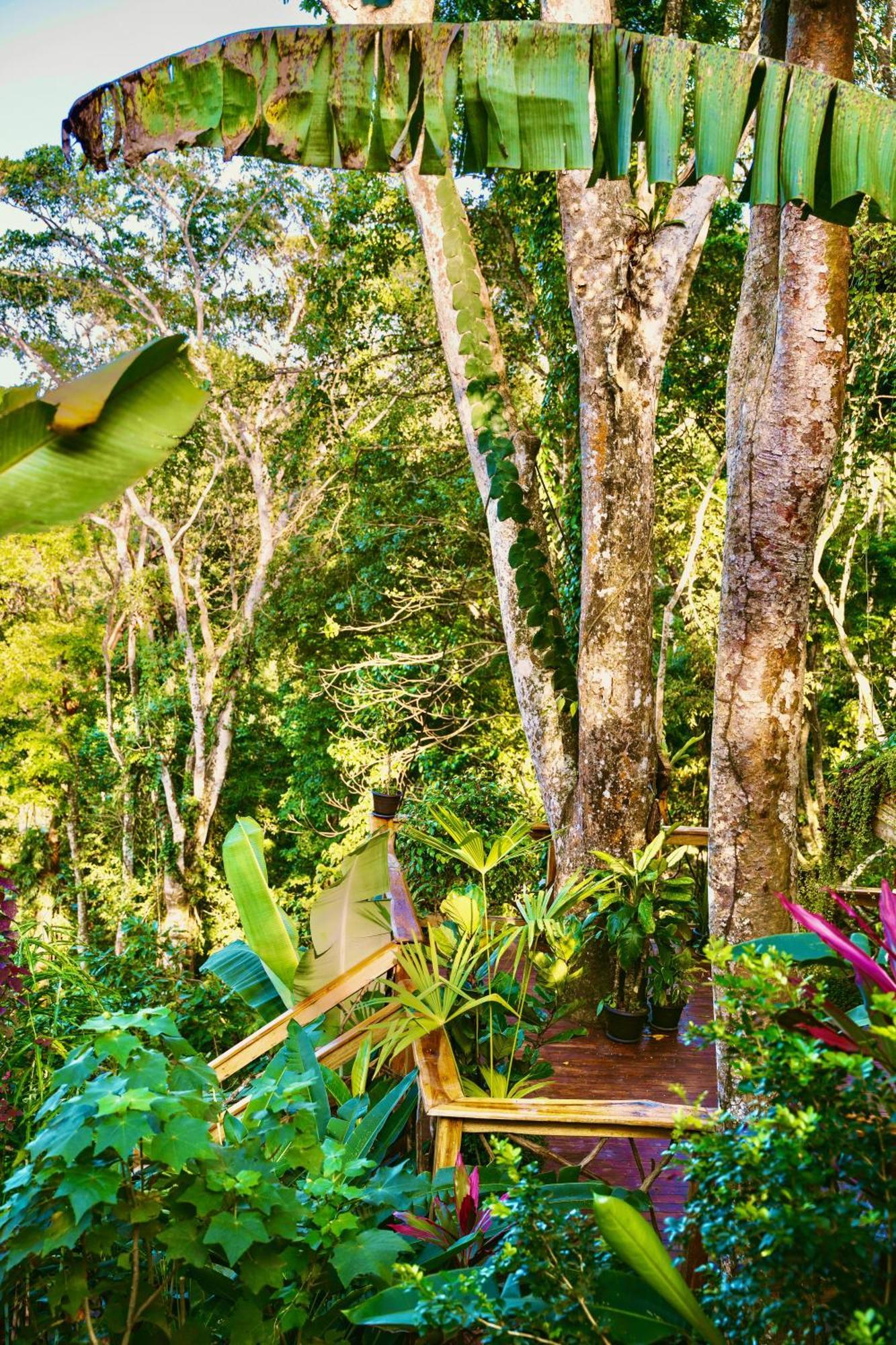 Jungle Spirit Treehouse * Cahuita
