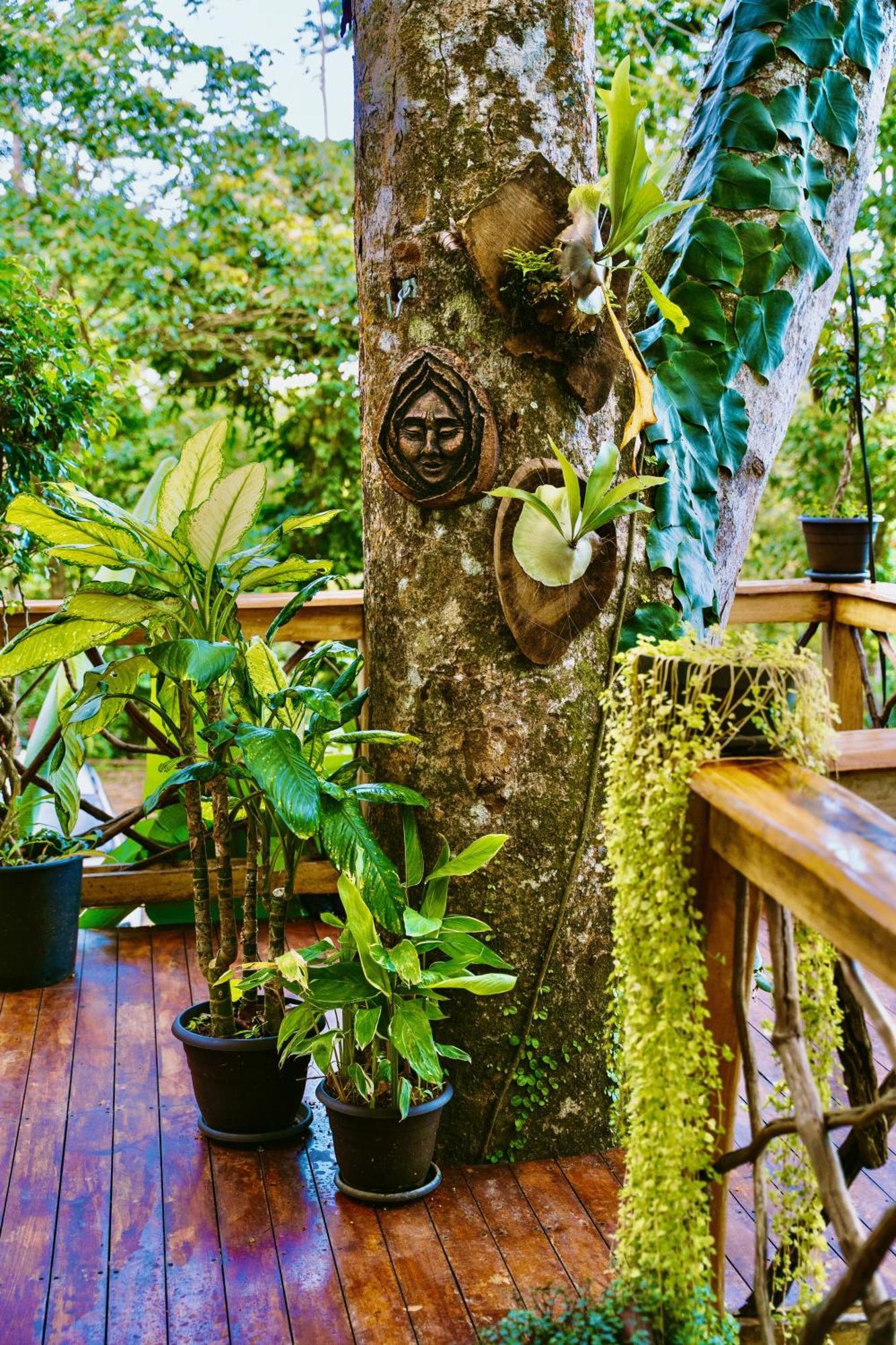 Jungle Spirit Treehouse Holiday home *