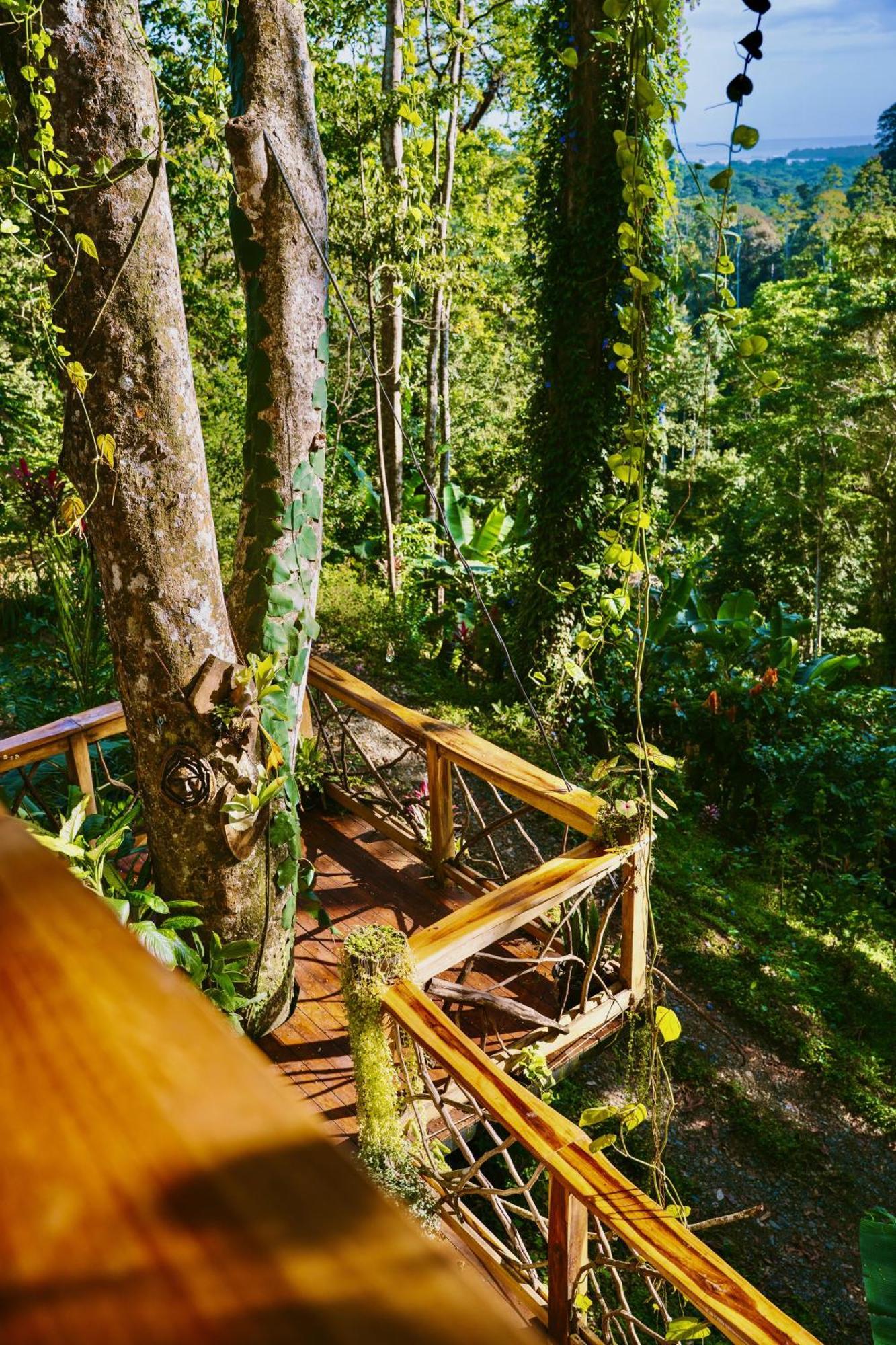 Jungle Spirit Treehouse Cahuita