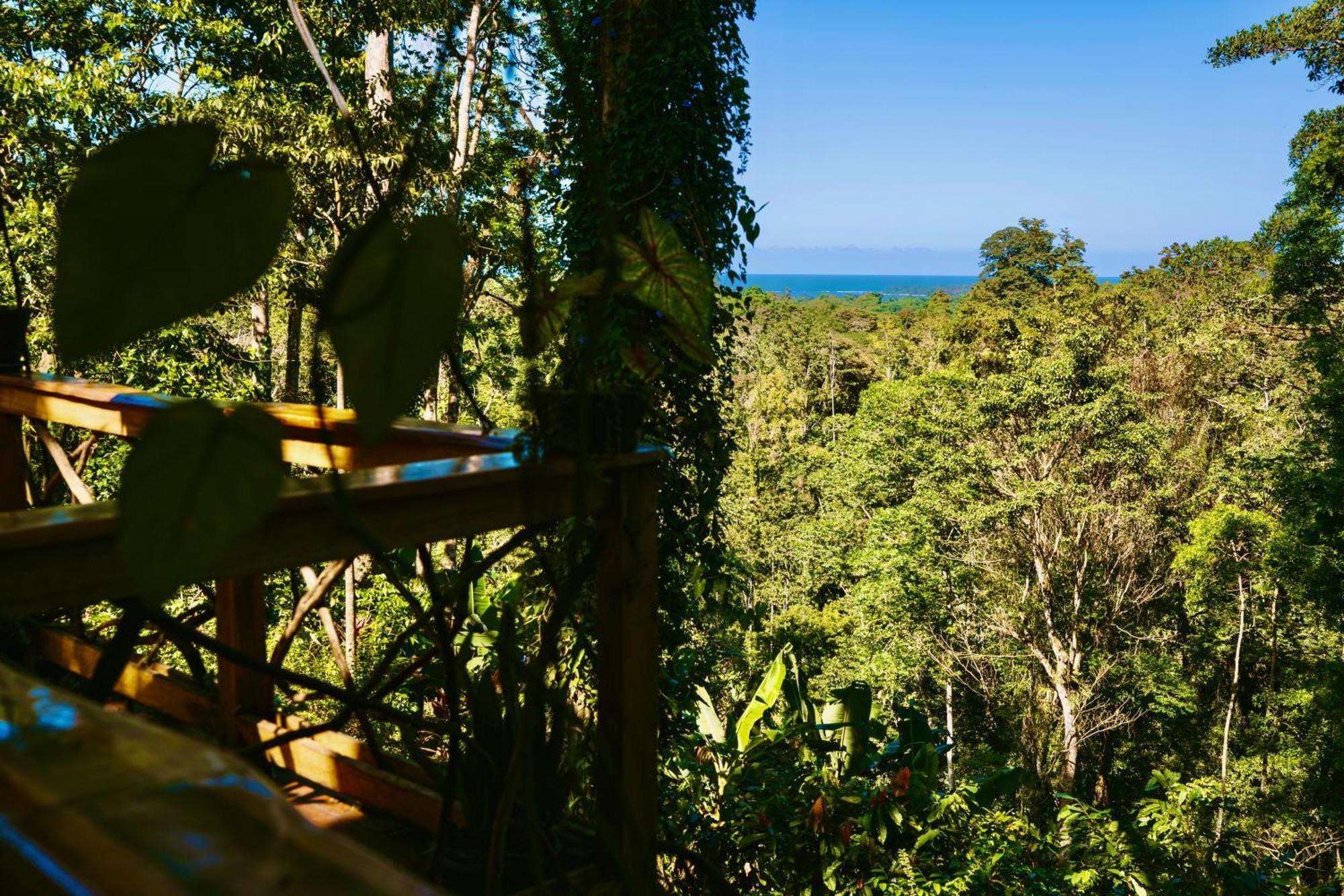 Jungle Spirit Treehouse Holiday home