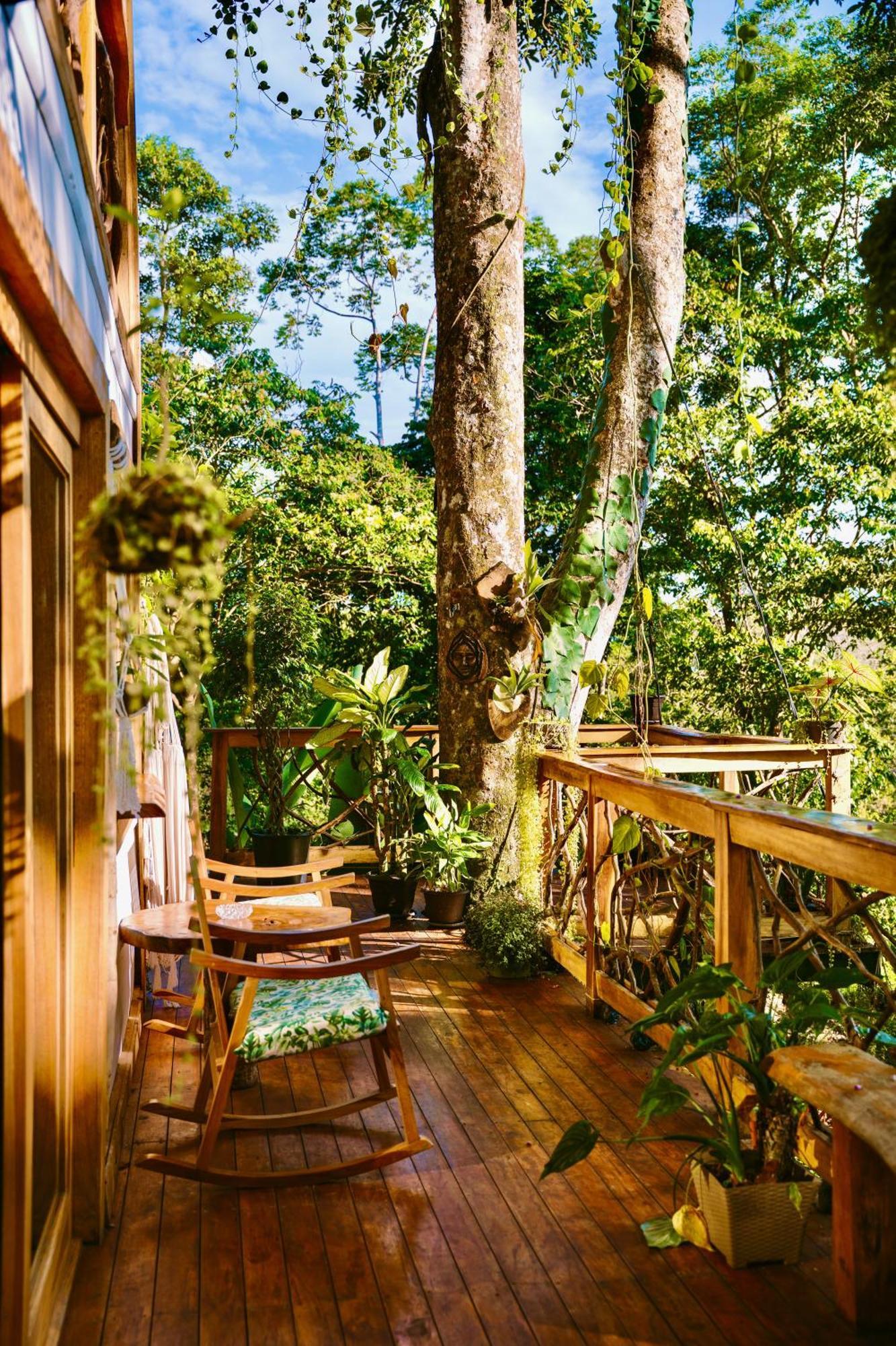 Jungle Spirit Treehouse Cahuita