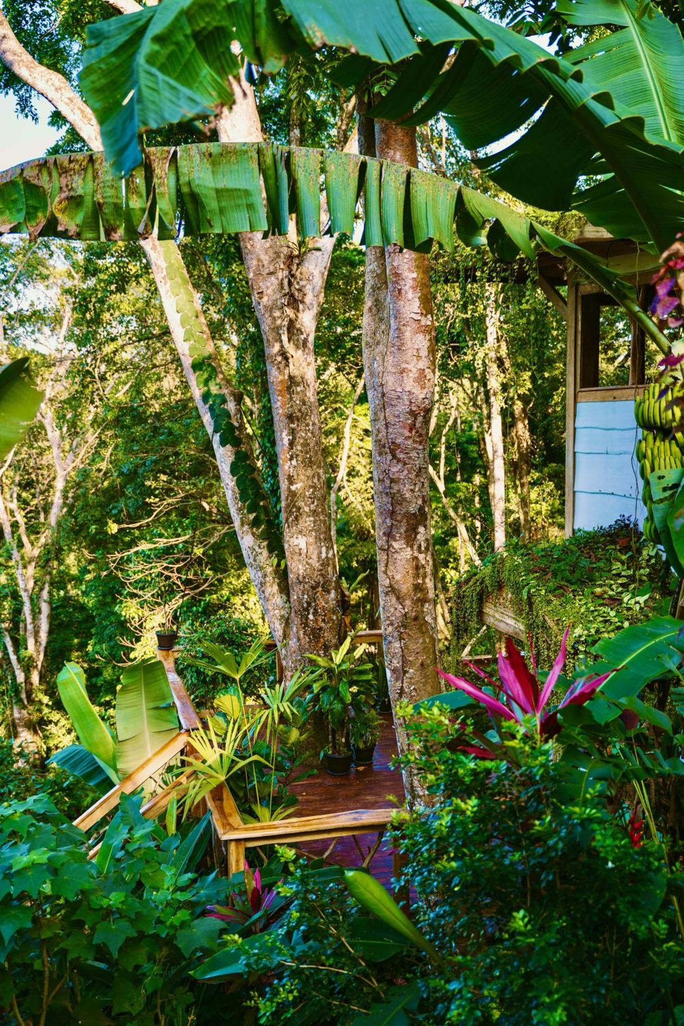 Jungle Spirit Treehouse Holiday home