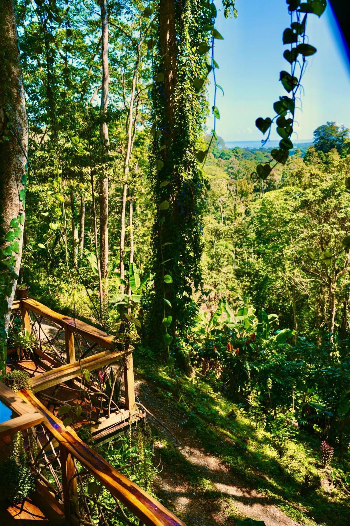 Holiday home Jungle Spirit Treehouse Cahuita