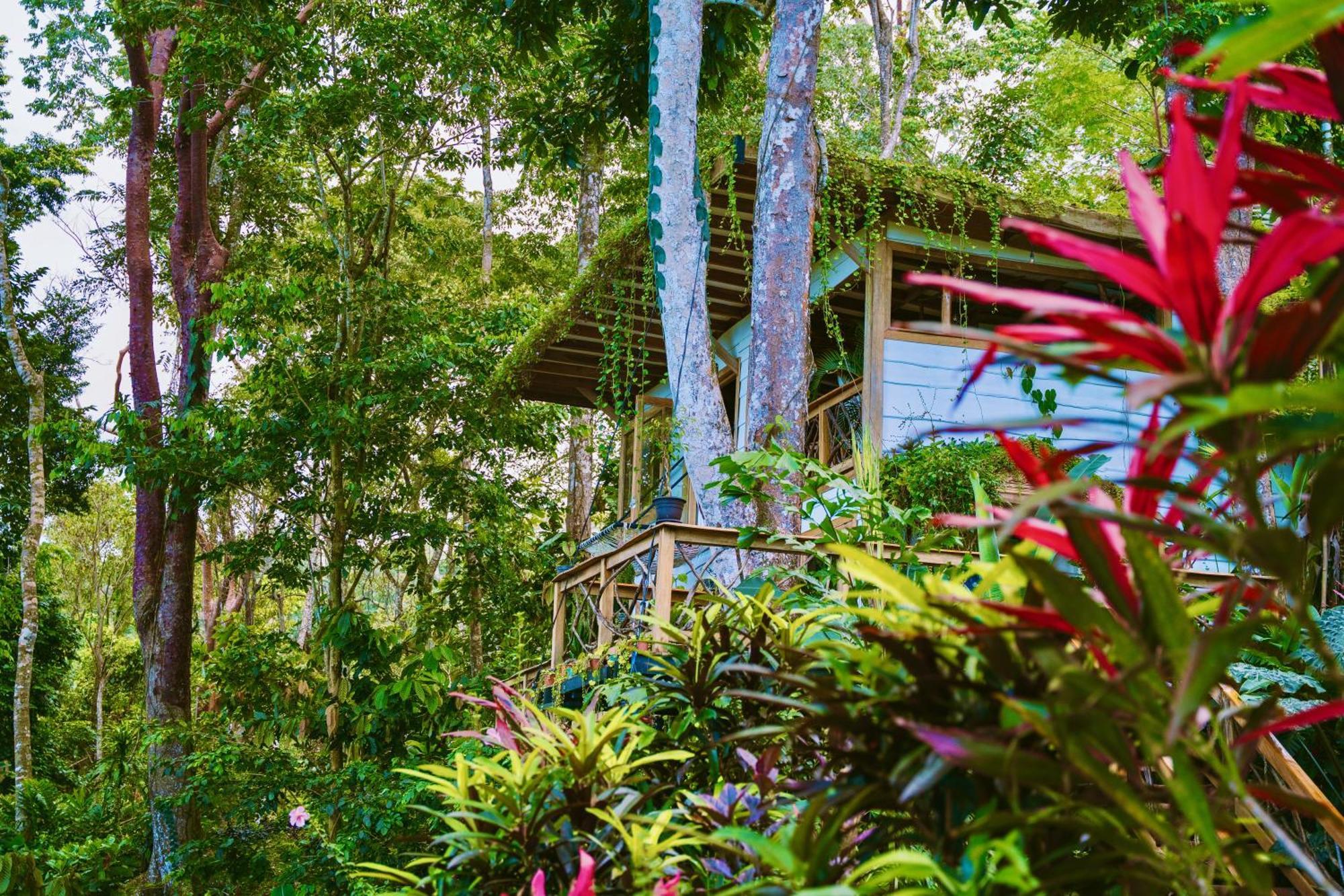 Jungle Spirit Treehouse * Cahuita