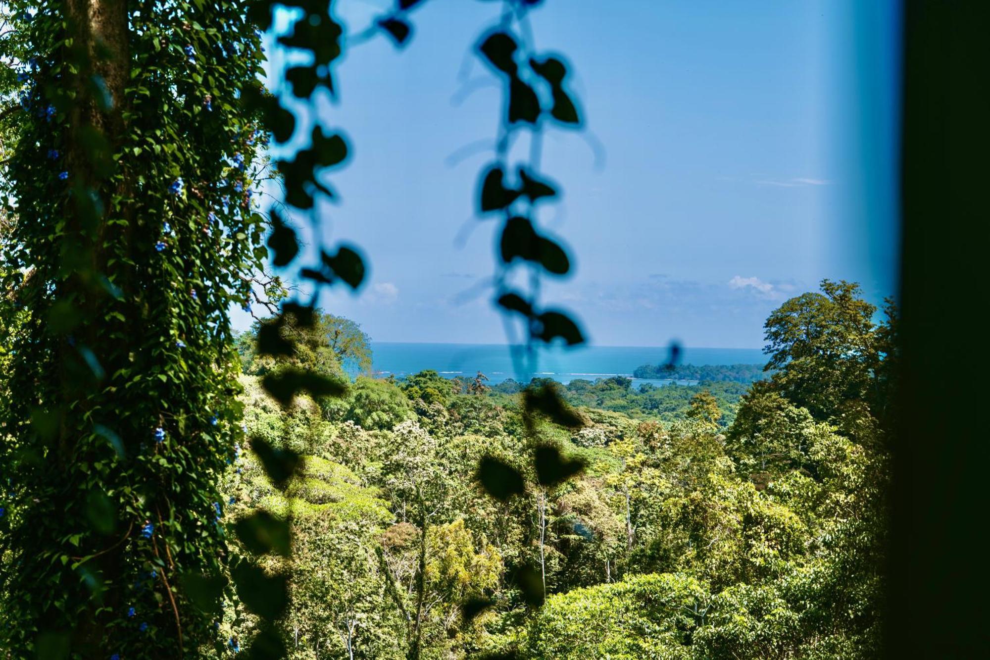Holiday home Jungle Spirit Treehouse